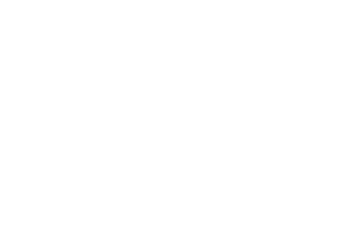 Logo - Accounting Meister